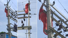 Woman Climbs Electric Pole
