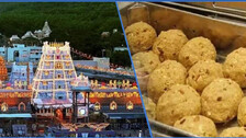 Tirupati Temple & Laddu 