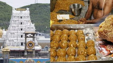 Tirupati Laddu Row