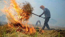 Stubble Burning