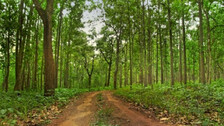 Similipal National Park