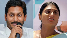 YS Jagan and Sharmila