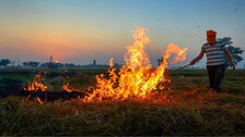 Stubble Burning