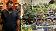 Rahu Chaudhury and Ganja Tree