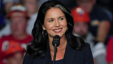 tulsi gabbard