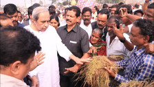 Naveen Patnaik