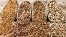Oilseeds