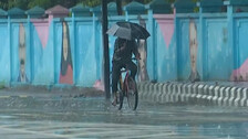 Rain