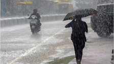 Rain Rain