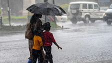 Rain