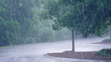 Rain Rain