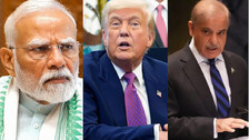 Trump Trump