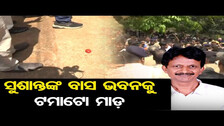 ସୁଶାନ୍ତଙ୍କ ବାସଭବନକୁ ଟମାଟୋ ମାଡ଼ | Odisha Reporter