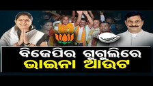 ବିଜେପିର ଗୁଗୁଲିରେ ଭାଇନା ଆଉଟ || BJP Wins Zilla Parishad Election From Zone 11 In Gop ||Odisha Reporter