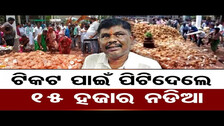 ଟିକଟ ପାଇଁ ପିଟିଦେଲେ  || Purna Chandra Swain Offered 15000 Coconuts At Andhra Temple ||Odisha Reporter