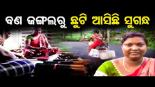 ବଣ ଜଙ୍ଗଲରୁ ଛୁଟି ଆସିଛି ସୁଗନ୍ଧ  | Odisha Reporter