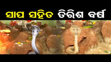 ସାପ ସହିତ ତିରିଶ ବର୍ଷ | Odisha Reporter