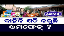 କାହିଁକି କ୍ଷତି କରୁଛି ଓମଫେଡ୍  ? || OMFED ||  Odisha Reporter