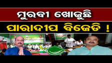 ମୁରବୀ ଖୋଜୁଛି ପାରାଦ୍ୱୀପ ବିଜେଡି ! | Odisha Reporter