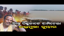 Tragic Incident : ଆଖି ପିଛୁଳାକେ ଝାମ୍ପିନେଲା ରକ୍ତମୁଖା କୁମ୍ଭୀର  || Crocodile Drags Man Into River || OR