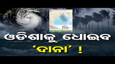 ଓଡିଶାକୁ ଧୋଇବ ଦାନା ! | Odisha Reporter