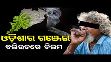 ଓଡ଼ିଶାର ଗଞ୍ଜେଇ, ବଲିଉଡରେ ଚିଲମ || Ganja Smuggling Odisha Link | NCB Captures Mumbai\'s Most Wanted ||OR