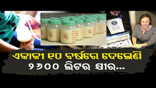 ଏକାକୀ 10 ବର୍ଷରେ ଦେଲେଣି, 2600 ଲିଟର କ୍ଷୀର... | Odisha Reporter