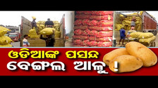 ଓଡିଆଙ୍କ ପସନ୍ଦ ବେଙ୍ଗଲ ଆଳୁ ! | Odisha Reporter