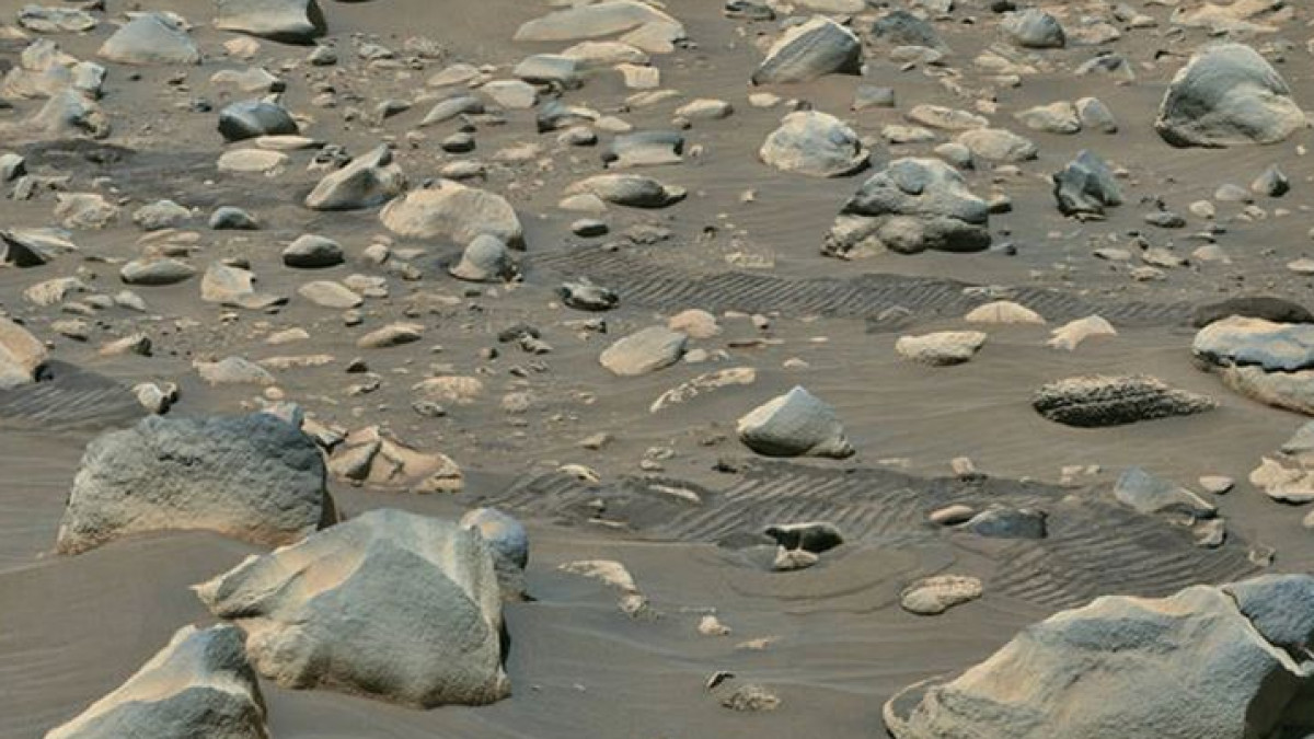 Rock Found In Mars