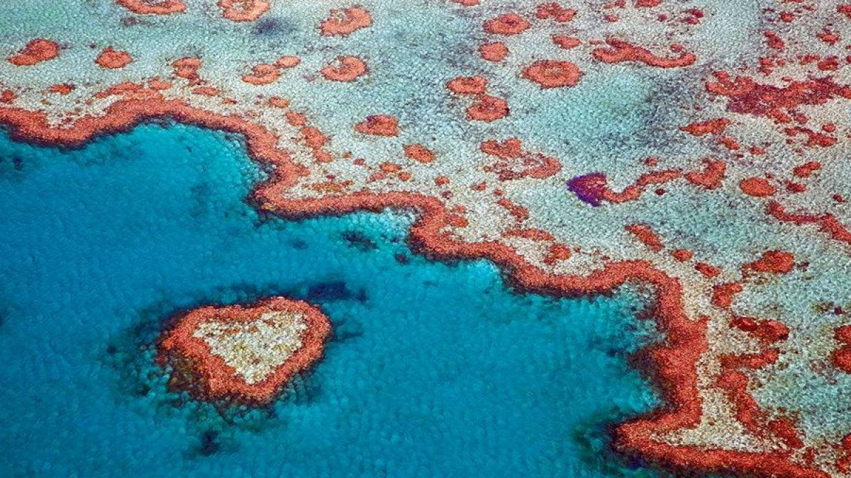 A Heart Can Be Seen At The Great Barrier Reef