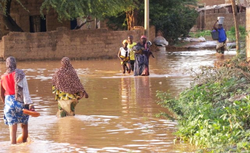 niger