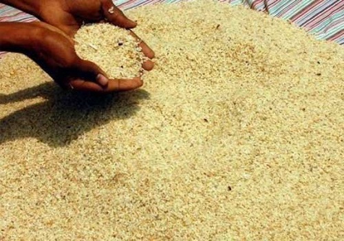 Odisha-rice