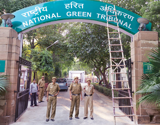 national green-panel