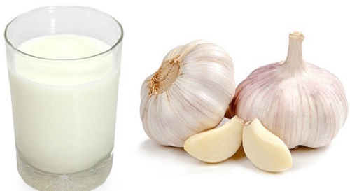 garlic-milk-health