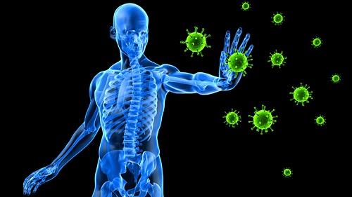 10-Amazing-Facts-About-Your-Immune-System-