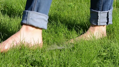 walking-on-grass