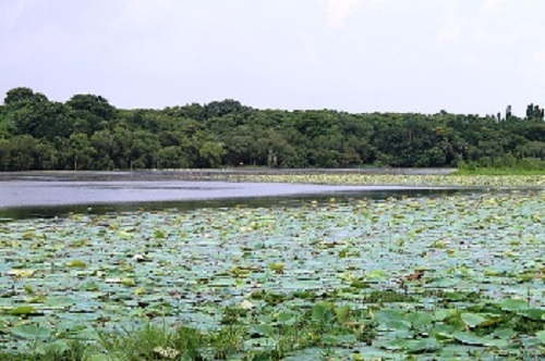 kanjia lake