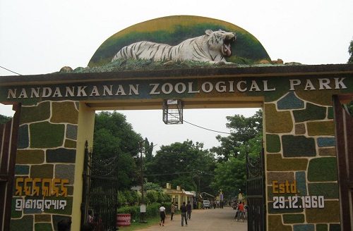 Nandankanan-Zoological-Park