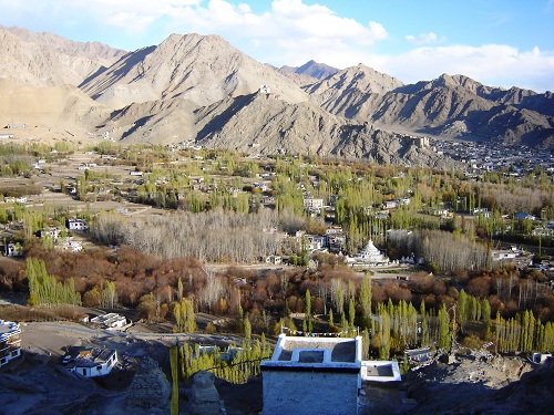 Ladakh-Leh-5946_0-1