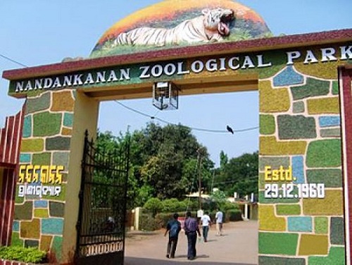 Nandankanan-Zoological-Park-Bhubaneswar