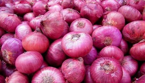 onion1-750x430