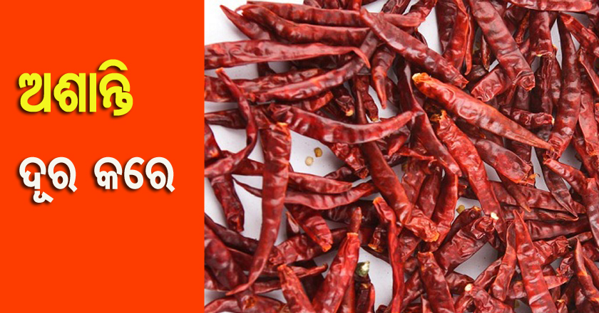 dry-red-chilli6 copy