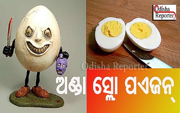 egg harmful