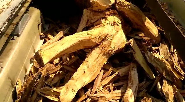 police seze chandan wood from sambalpur