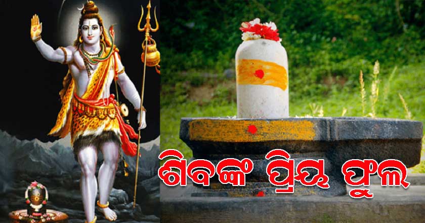 things-you-should-never-used-to-worship-shiva-758x379