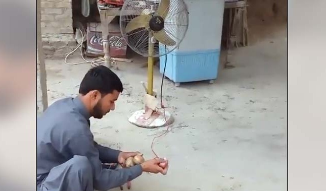 guy-generating-electricity-from-potato-and-onion_650x400_71521348231