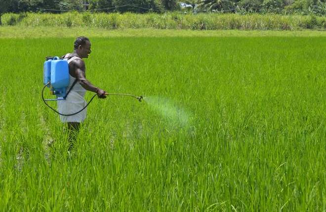 Now online monitoring of fertilizer supply to famers