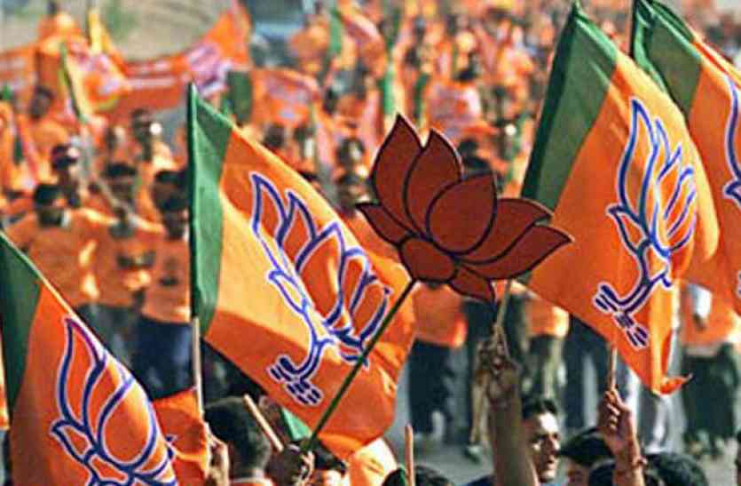 bjp_flag1_2077846_835x547-m