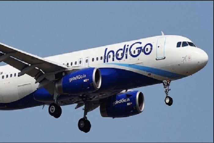 indigo