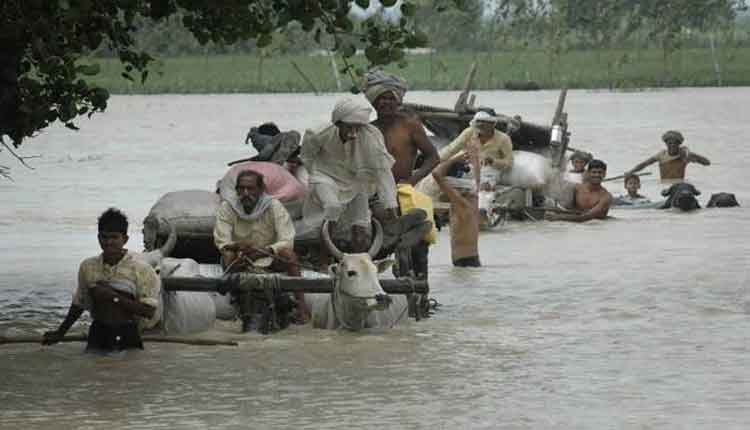 flood in up